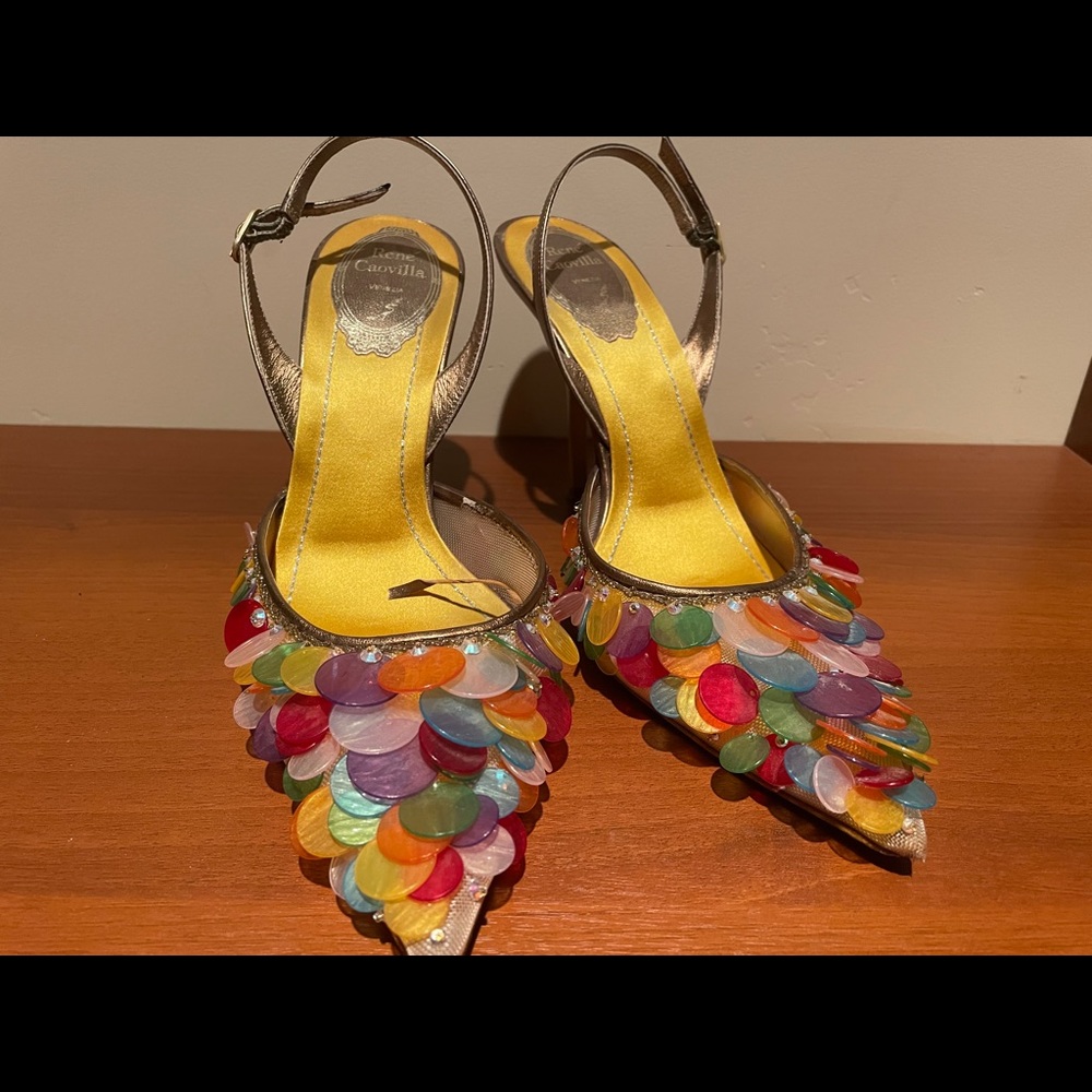 ❤️‍🔥Rene Caovilla Embroidered Embellished Pumps